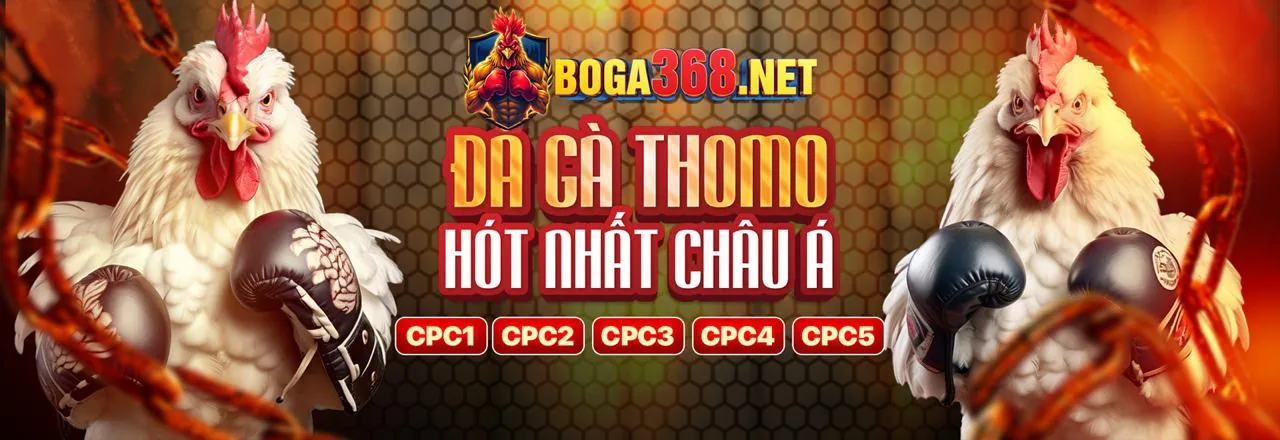 Đá Gà Trực Tuyến Hấp Dẫn tại 84win