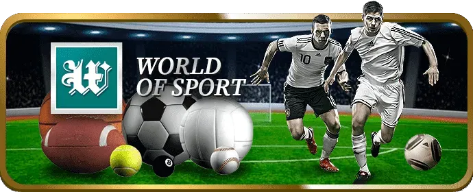 Sân đấu đá gà trực tuyến 84win